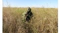 Маскировочный халат Taganrog Кикимора – купить по цене 3550 руб. в интернет-магазине в городе Красноярск картинка 13