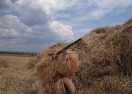 Маскировочная одежда для охоты в интернет-магазине в Красноярске, купить маскировочную сеть с доставкой картинка 28